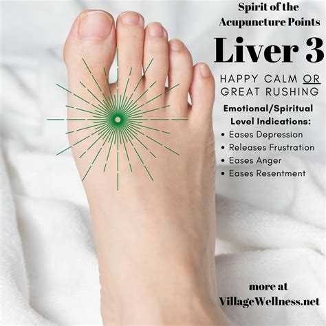 liver acupuncture points chart.